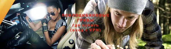 прущая мука Осташков