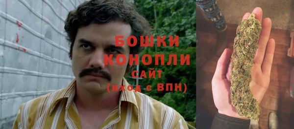 прущие грибы Великий Новгород