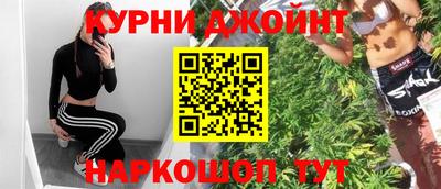 дмт Новокубанск