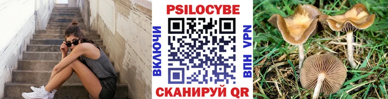 Галлюциногенные грибы GOLDEN TEACHER  где купить наркоту  Урюпинск 
