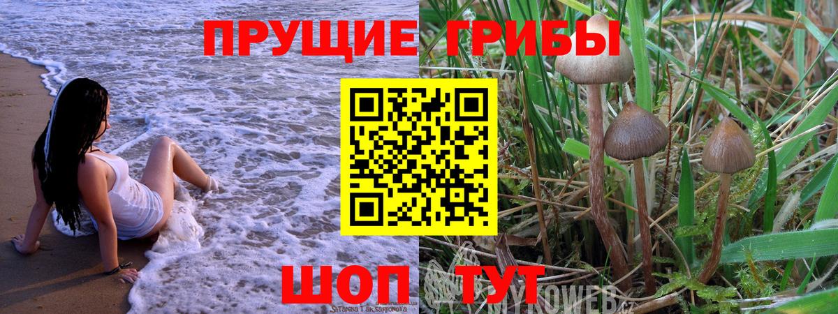 Псилоцибиновые грибы GOLDEN TEACHER Урюпинск