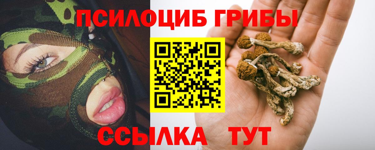 Галлюциногенные грибы Psilocybe  Урюпинск  Псилоцибиновые грибы Psilocybine cubensis 