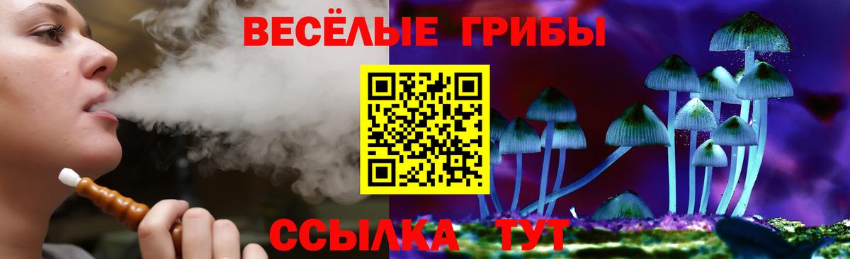 Псилоцибиновые грибы MAGIC MUSHROOMS  Вход с VPN  Псилоцибиновые грибы Psilocybe  Урюпинск 